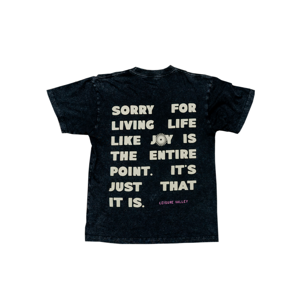 Joy Is The Point Vintage Tee