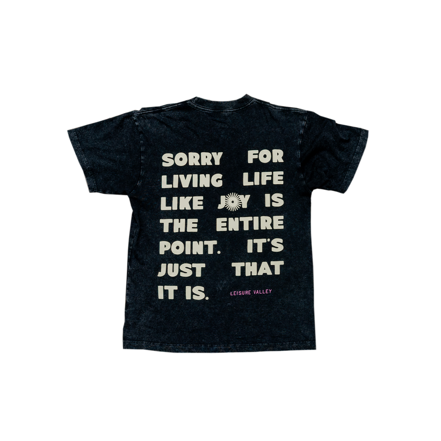 Joy Is The Point Vintage Tee